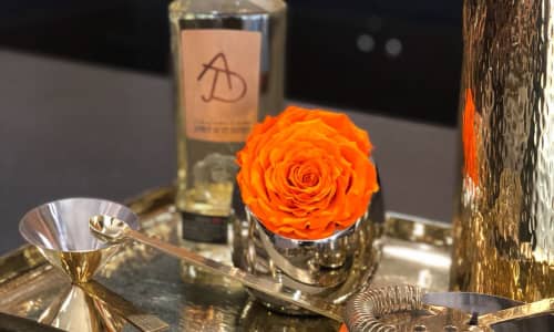 Style Your Thanksgiving with OnlyRoses