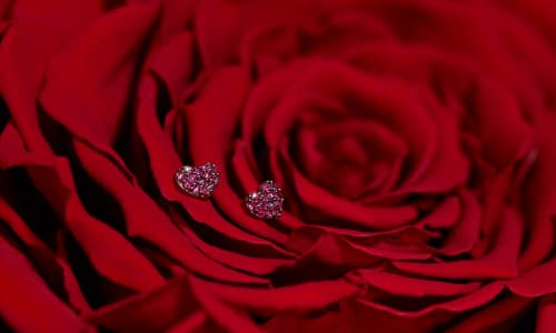 Win the Ultimate Valentines Duo Rubies & Roses