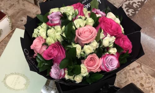 Festival Time is Family Time - with Roses