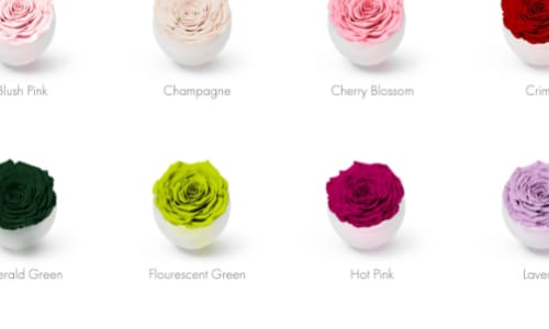 Colour Psychology and The Use of Colour Colour Psychology and The Use of Colour