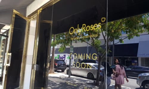 LA LA Land, here we come