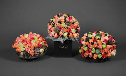 Behind the Scenes: The Beverly Hills Collection