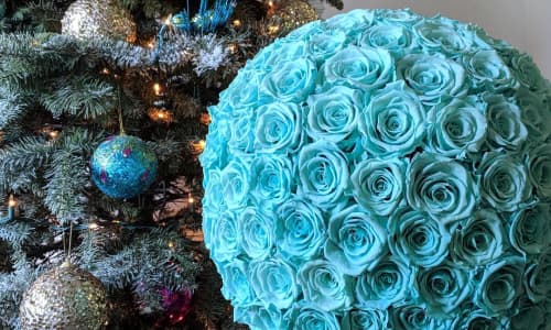 What Infinite Rose colours are on trend for winter?