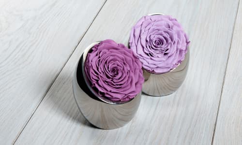 OnlyRoses Presents: Lilac Luxuries