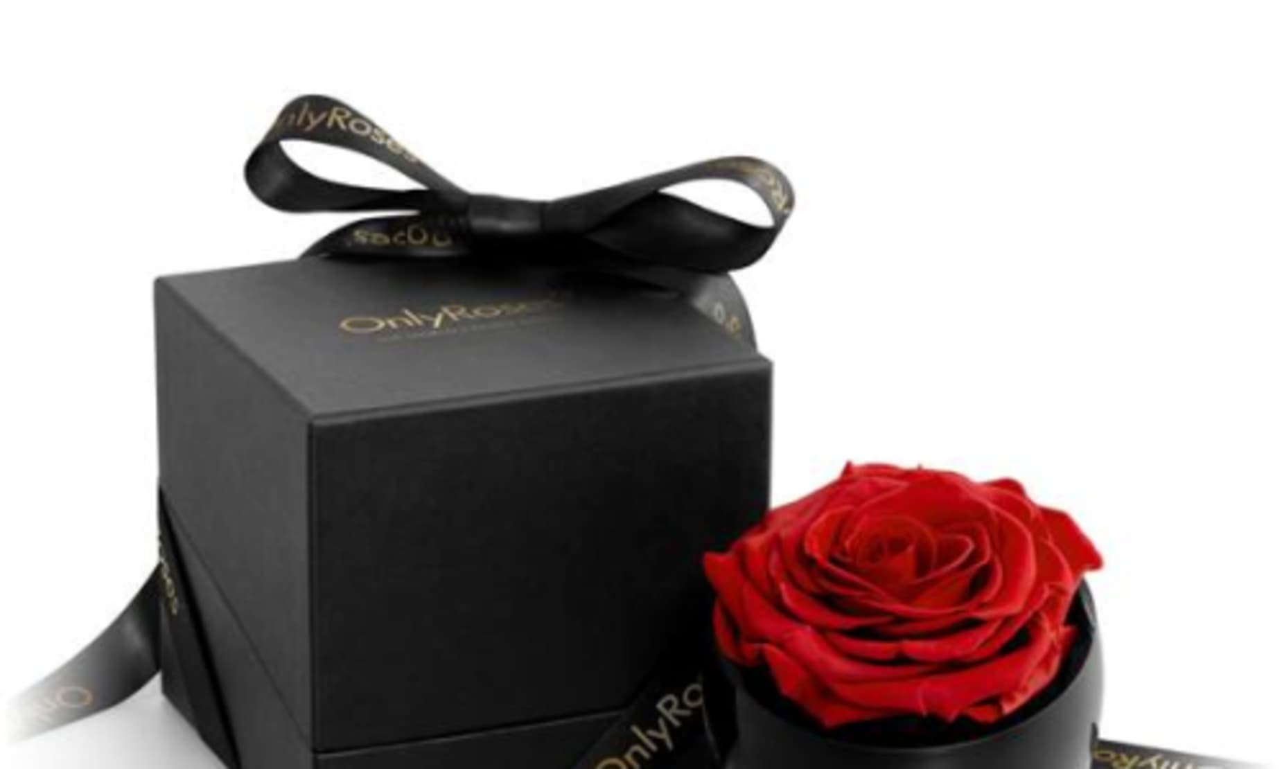 Handpicked for the goop Holiday Gift Guide