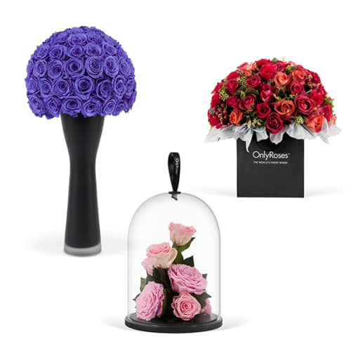 The Metropolis Waisted Vase, Infinite Jewel and the Only Bouquet Testimonials