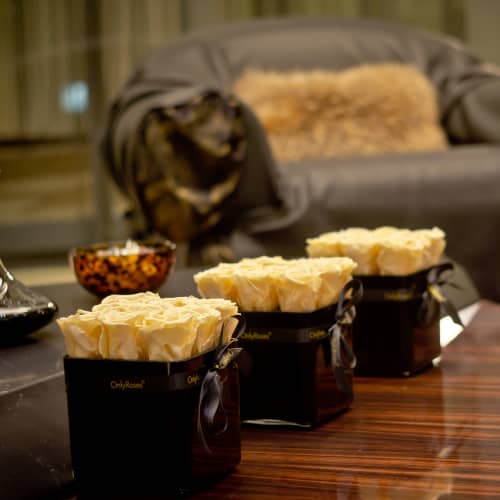 Roses for Estates - Feature 1