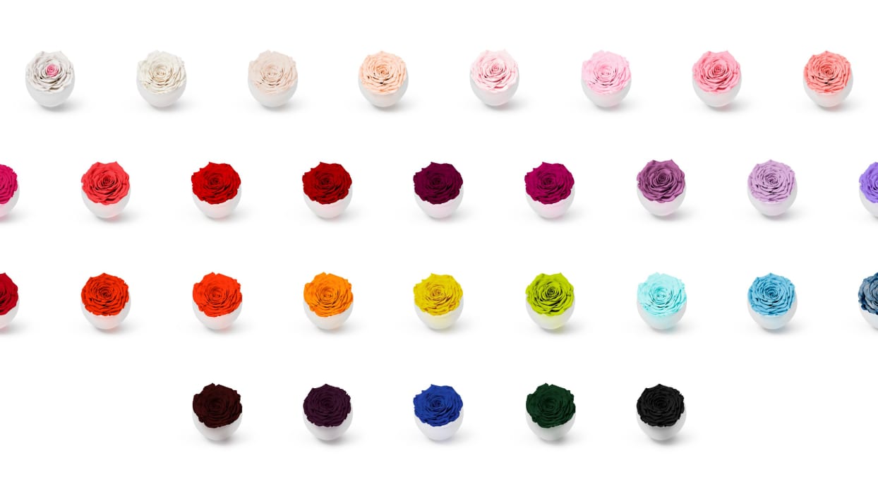 Infinite Rose® Colour Options