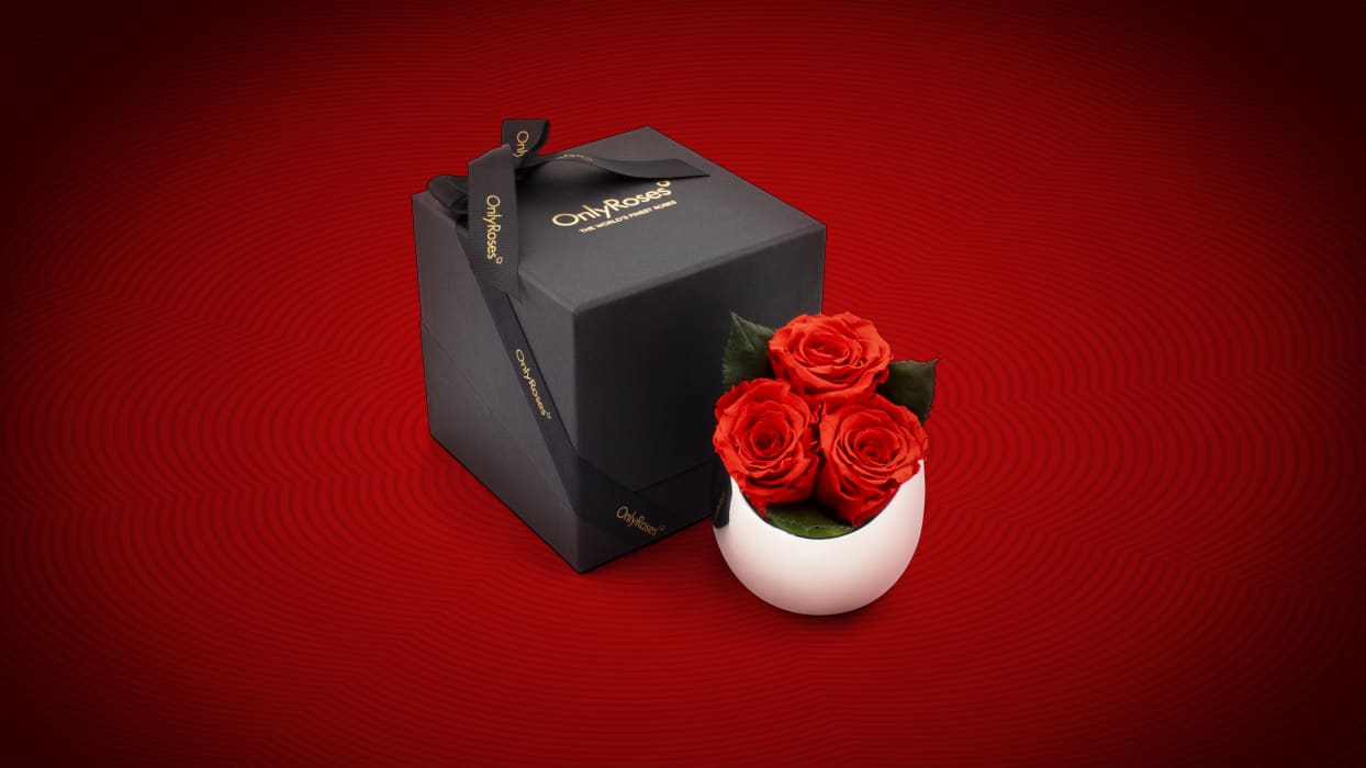 Chinese New Year Collection