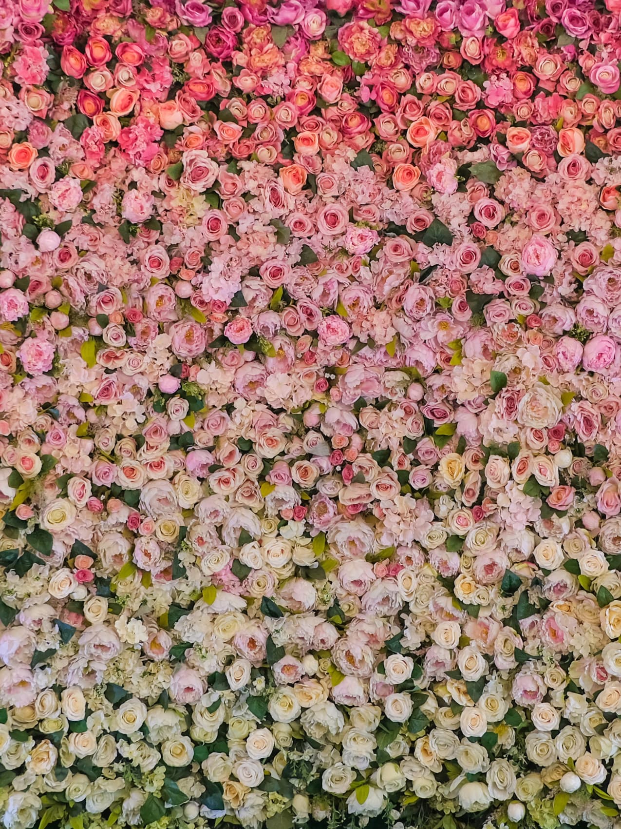 Luxury Roses Delivered London OnlyRoses