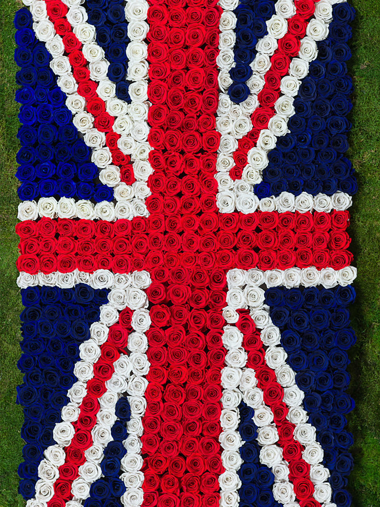 Rose Flags
