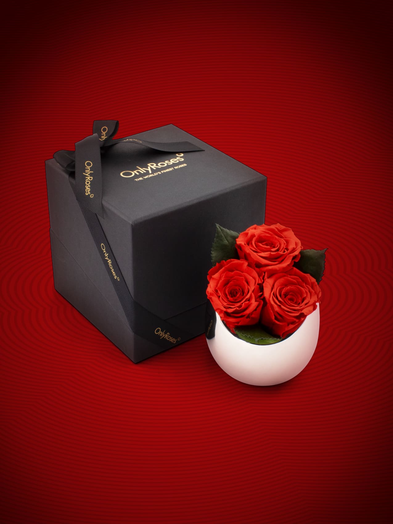 Chinese New Year Collection