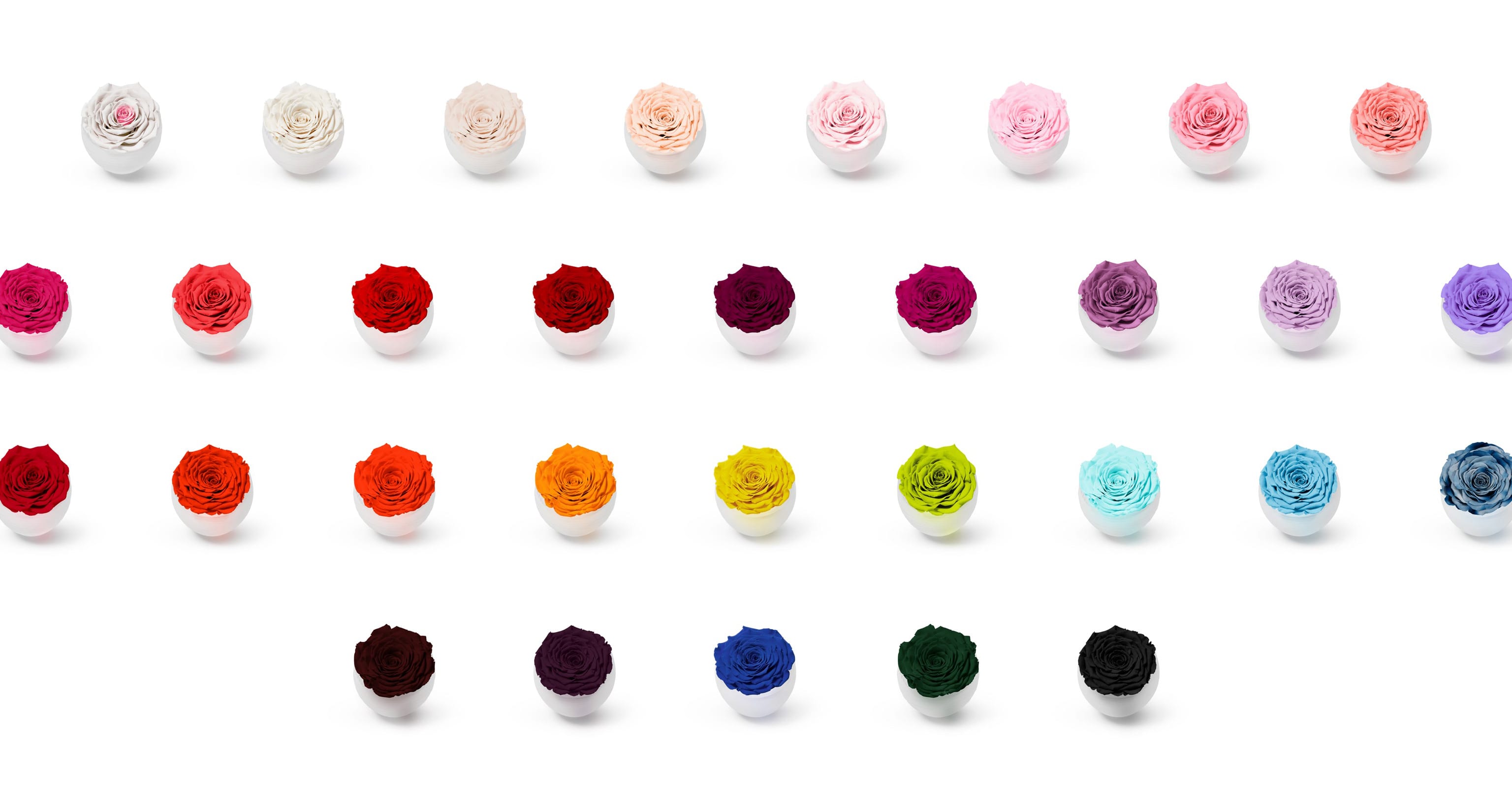 Infinite Rose® Colour Options