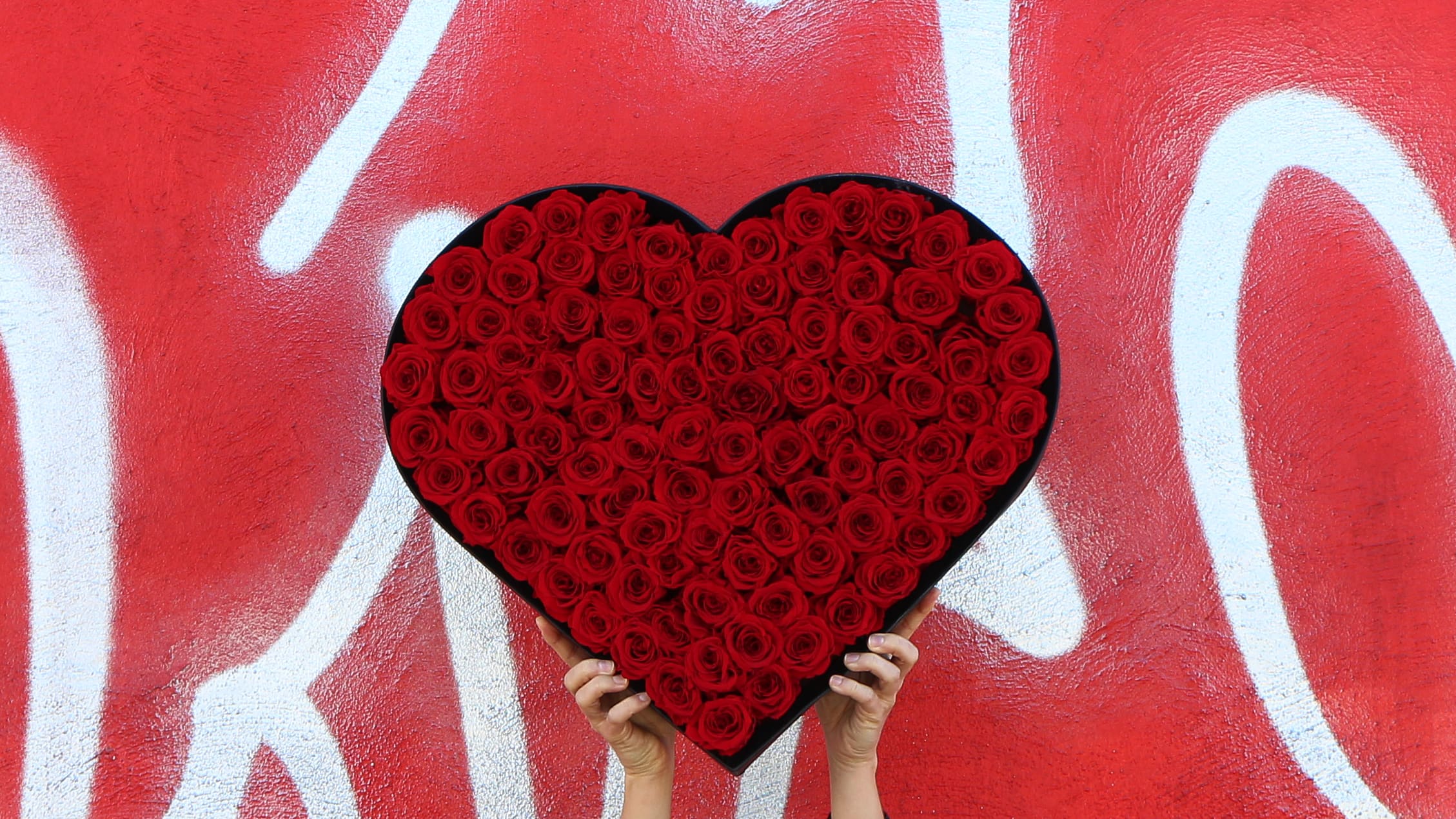 Amidst the mayhem of our everyday lives