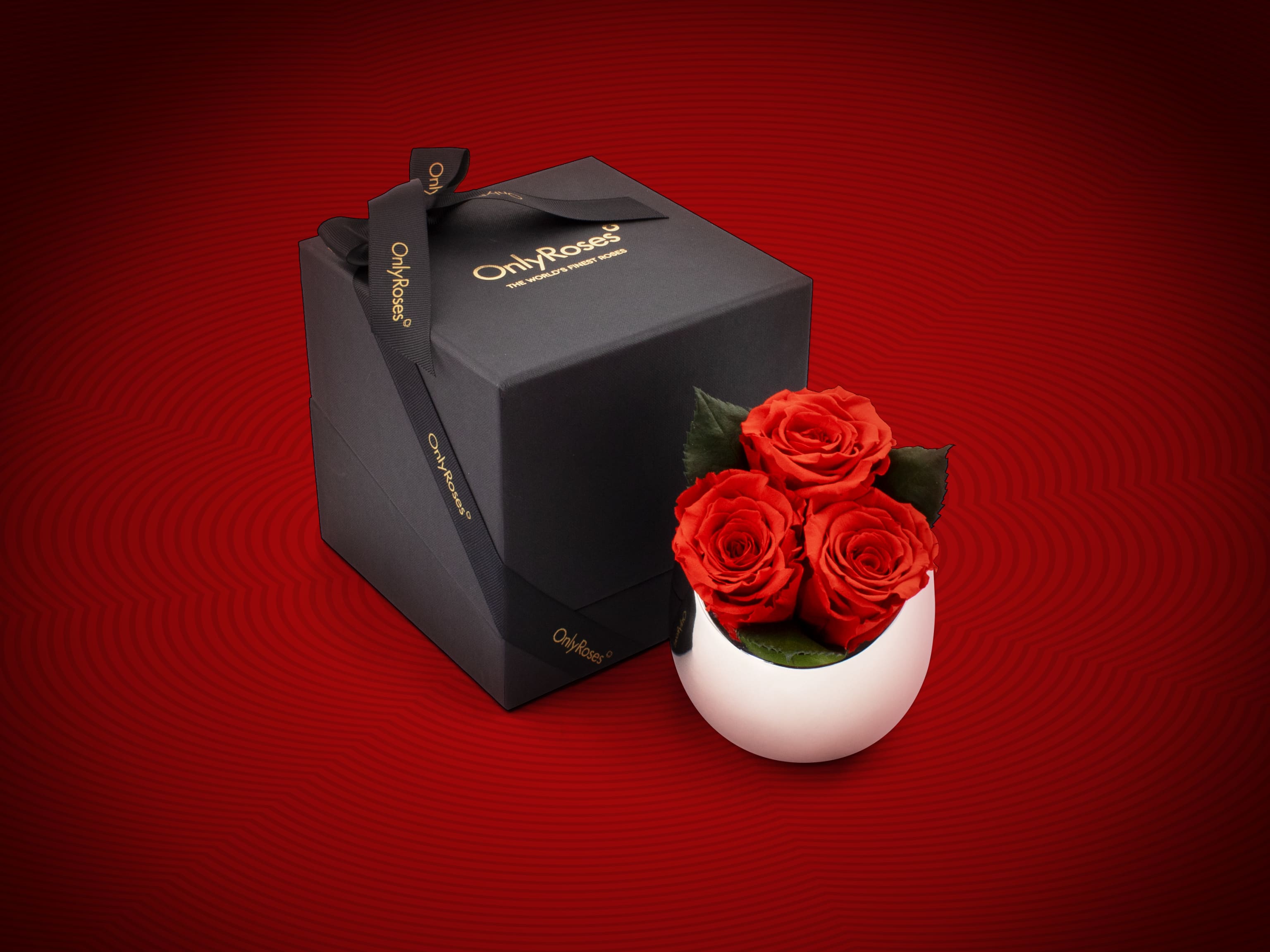 Chinese New Year Collection