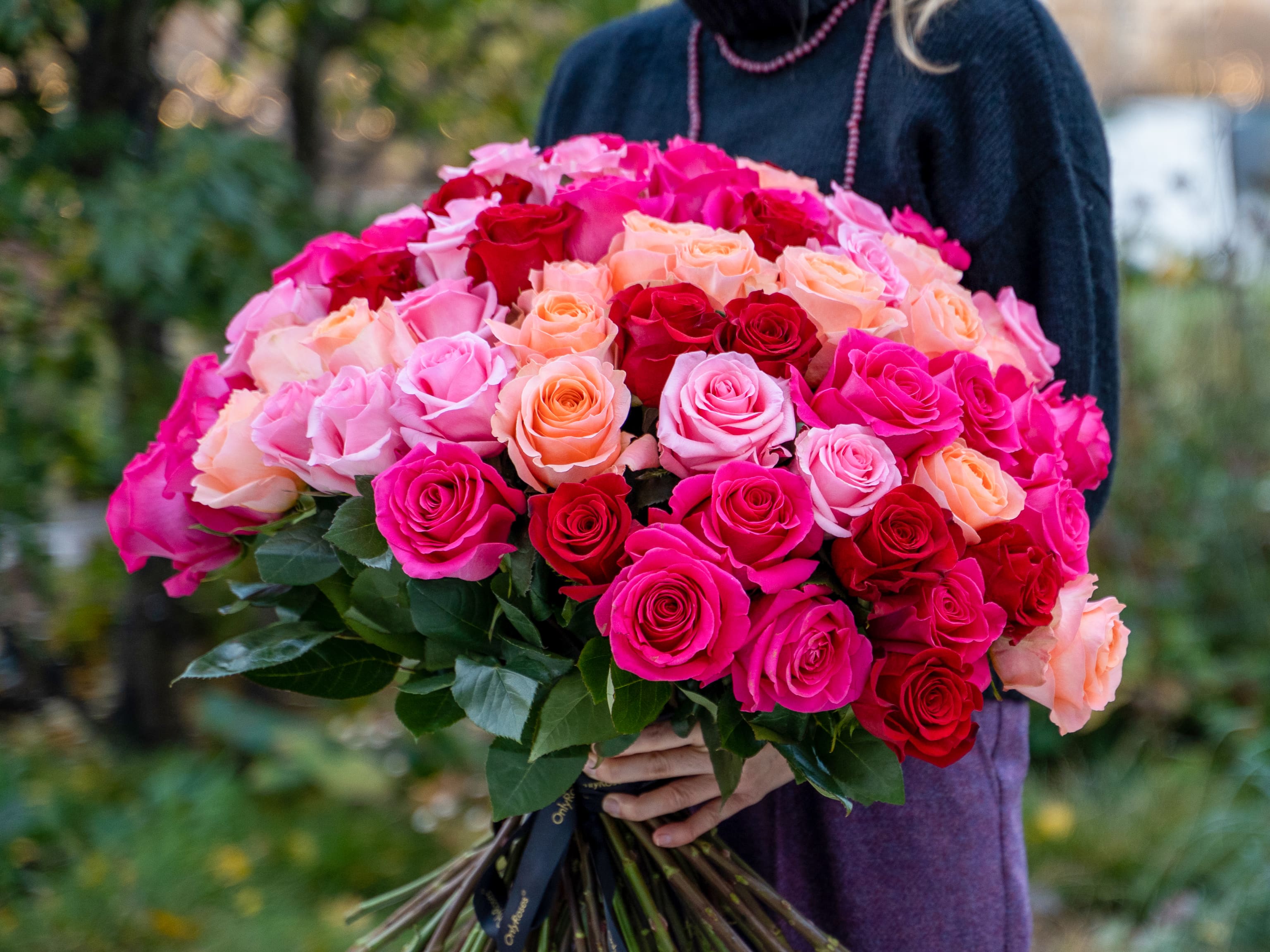 The Classic Rose Subscription