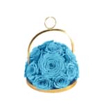 Baby Blue Infinite Rose Lantern Dome