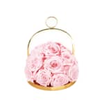 Blush Pink Infinite Rose Lantern Dome