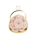 Champagne Infinite Rose Lantern Dome