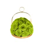 Fluorescent Green Infinite Rose Lantern Dome