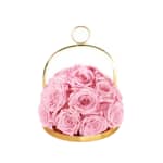 Pale Pink Infinite Rose Lantern Dome