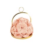 Peach Infinite Rose Lantern Dome