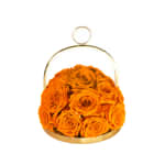 Pumpkin Infinite Rose Lantern Dome