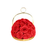 Raspberry Infinite Rose Lantern Dome