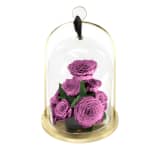 Blueberry Infinite Rose Lantern Jewel