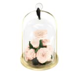 Champagne Infinite Rose Lantern Jewel