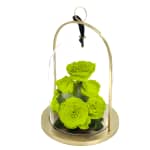 Fluorescent Green Infinite Rose Lantern Jewel