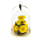 Lemon Infinite Rose Lantern Jewel