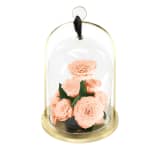 Peach Infinite Rose Lantern Jewel