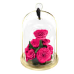 Rhubarb Infinite Rose Lantern Jewel