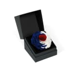 Half Circle Design Royalty - The Infinite Rose