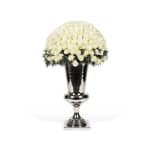 White Classic Rose Coliseum