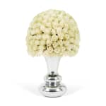 White Classic Rose Aurora