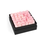 Light Pink Classic Rose Plaza