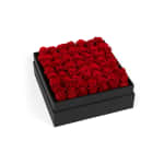 Red Classic Rose Plaza