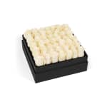 White Classic Rose Plaza