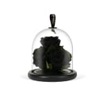 Black Infinite Rose Gem