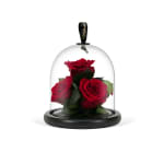 Crimson Infinite Rose Gem