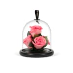 Flamingo Infinite Rose Gem