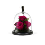 Rhubarb Infinite Rose Gem