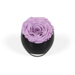 Lavender Infinite Rose Manzanita Root