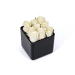 White Classic Rose Black Cube