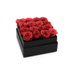 Raspberry Infinite Rose Plaza (Black Friday Special)