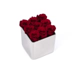 Red Infinite Rose Silver Cube Mother's Day