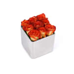 Dark Orange Classic Rose Silver Cube