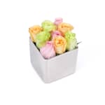 Pastel Mix Classic Rose Silver Cube